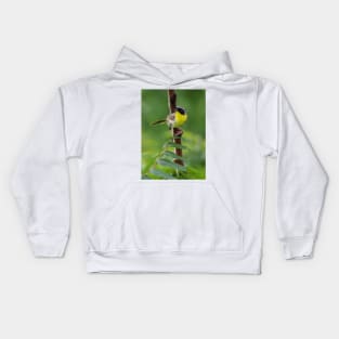 Common Yellowthroat Kids Hoodie